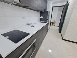 Sims Urban Oasis (D14), Condominium #450560391